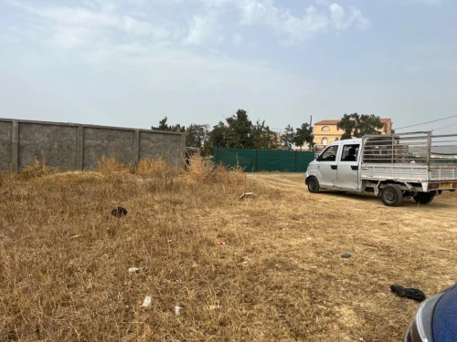 Vente Terrain Boumerdès Tidjelabine 8