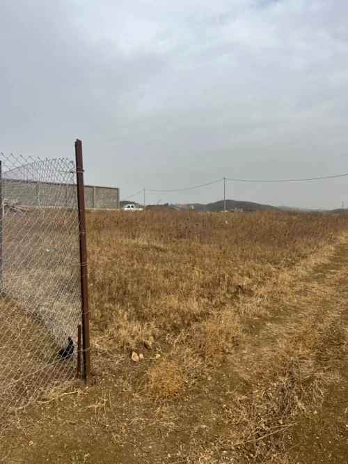 Vente Terrain Boumerdès Tidjelabine 7