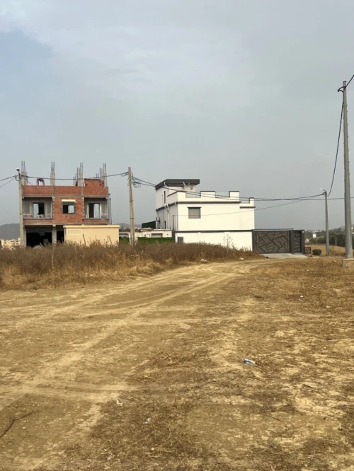 Vente Terrain Boumerdès Tidjelabine 6