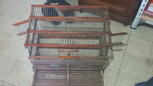 Cage oiseau couplage