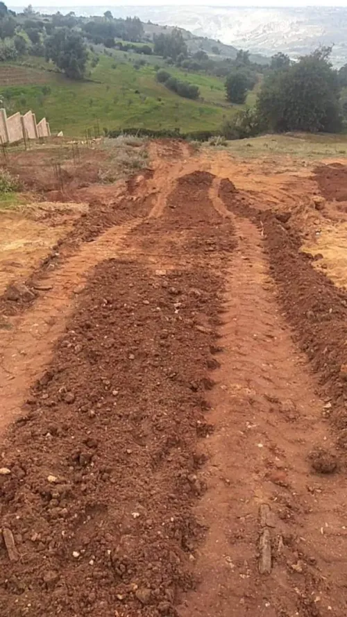 Vente Terrain Mostaganem Achaacha