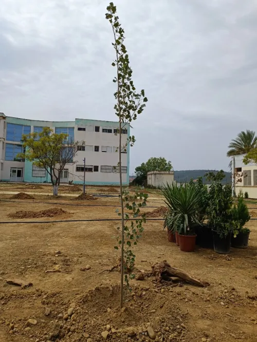 Aménagement des espaces verts