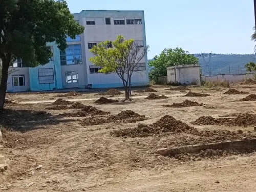 Aménagement des espaces verts