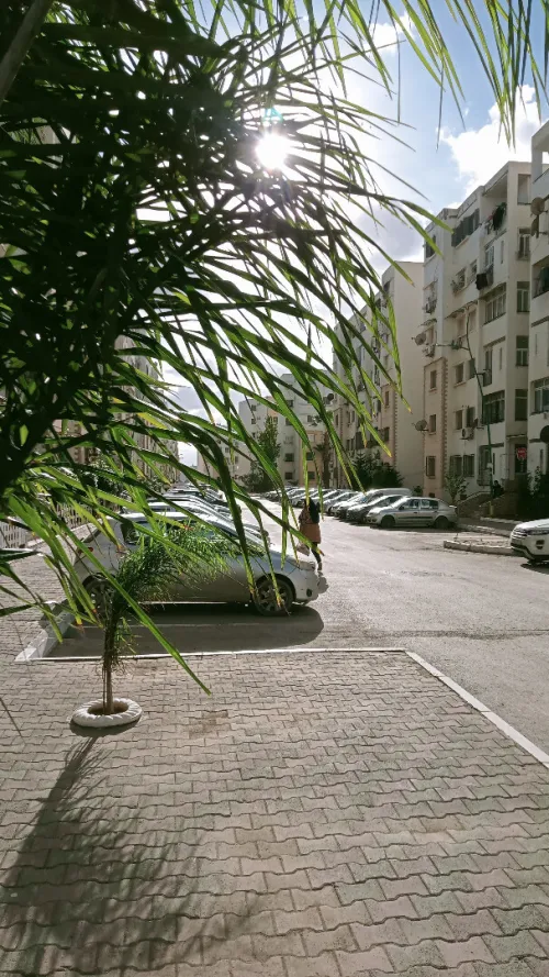 Location Appartement F3 Alger Baba hassen