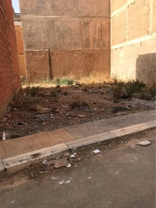 Vente Terrain Saïda Ain el hadjar