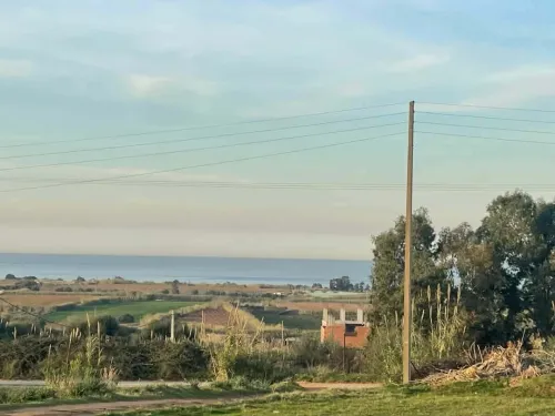 Vente Terrain Boumerdès Zemmouri 2