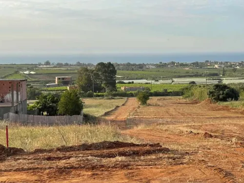 Vente Terrain Boumerdès Zemmouri 3