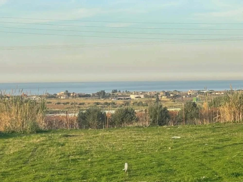 Vente Terrain Boumerdès Zemmouri 5