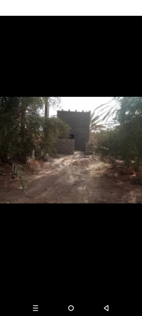 Vente Terrain Ouled Djellal Ouled Djellal
