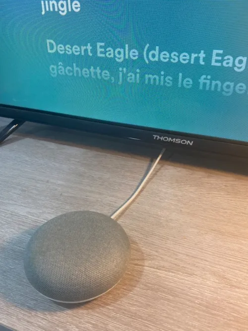 GOOGLE HOME 