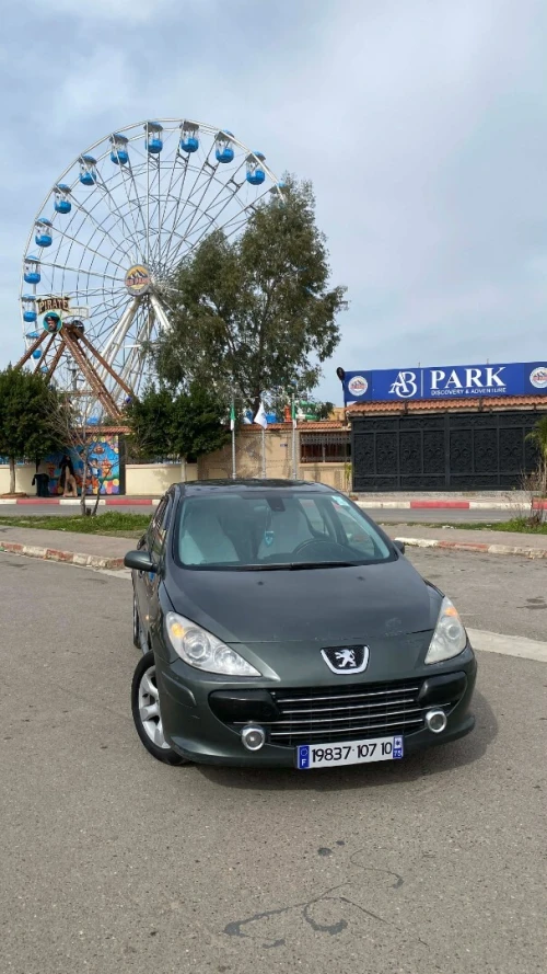 Peugeot 307 2007 Oxygo