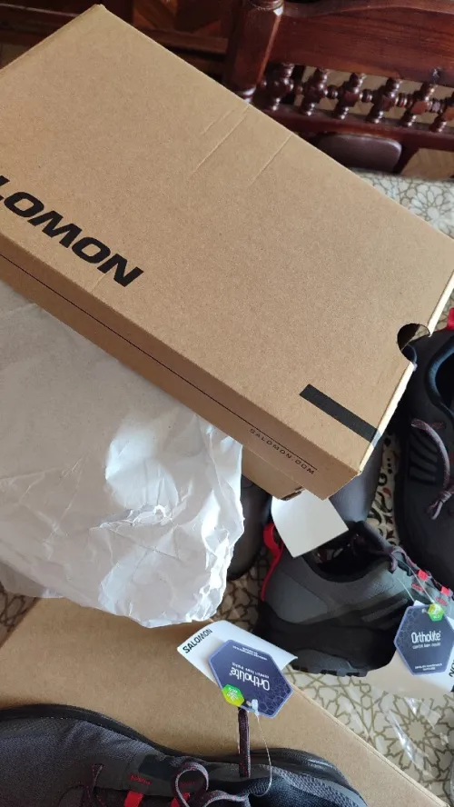 Salomon original