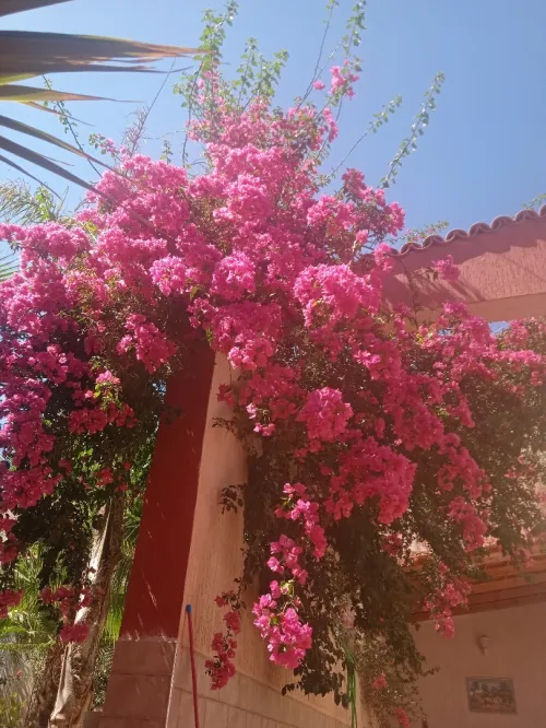 Location vacances Villa Mostaganem Mostaganem