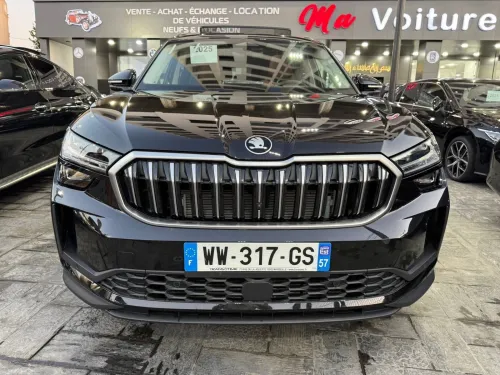 Skoda kODIAQ 2025 KODIAQ 4*4