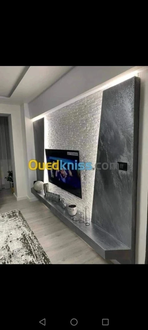 Peintre professionnel 