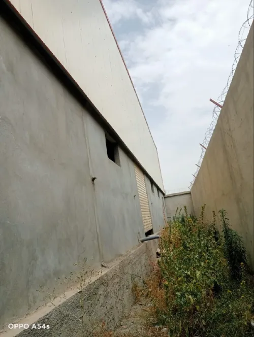 Location Hangar - Usine Blida Larbaa