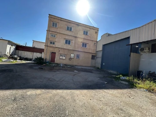 Location Hangar - Usine Alger Reghaia