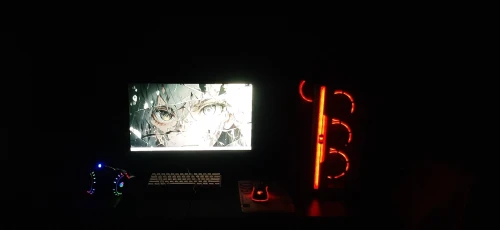 Pc gamer