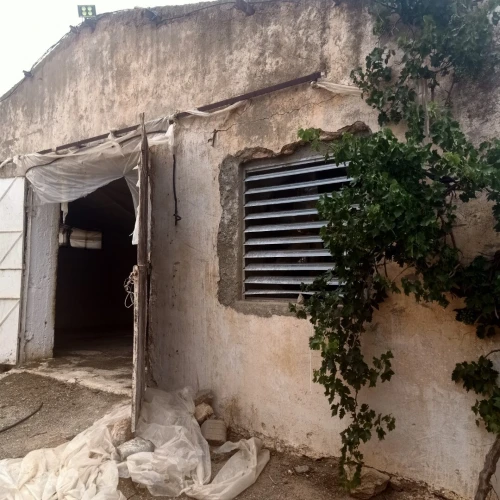 Location Hangar Sidi Bel Abbès Amarnas