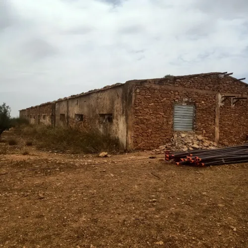 Location Hangar Sidi Bel Abbès Amarnas