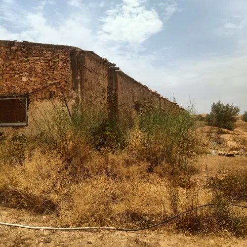 Location Hangar Sidi Bel Abbès Amarnas