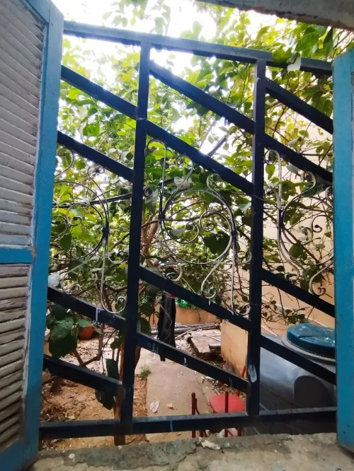 Vente Appartement F3 Alger Les eucalyptus
