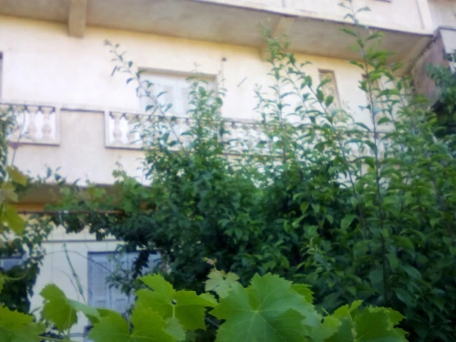 Vente Villa Alger Douera