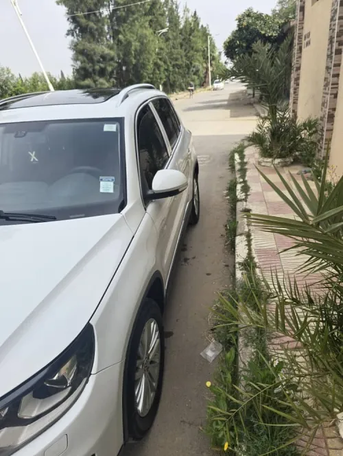 Volkswagen Tiguan 2015 cup