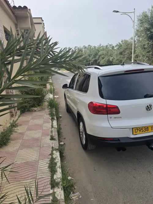 Volkswagen Tiguan 2015 cup