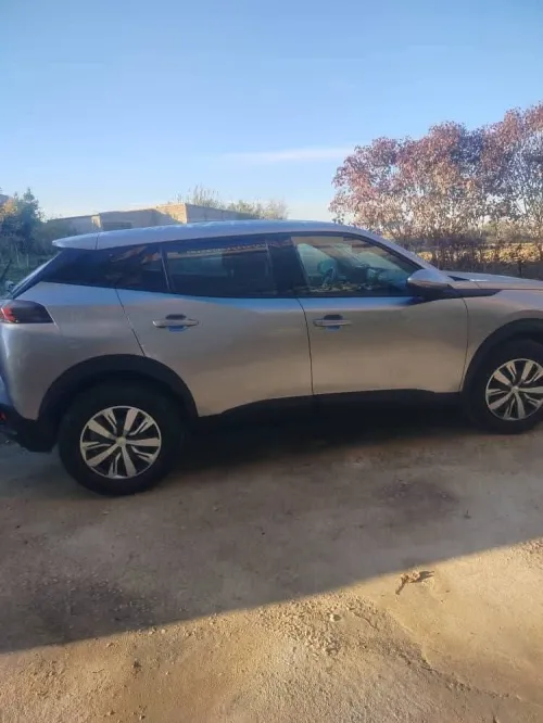 Peugeot 2008 2021 
