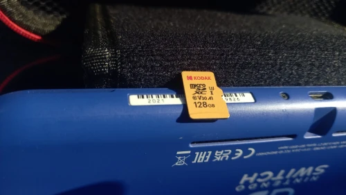 Nintendo Switch Lite Flachée