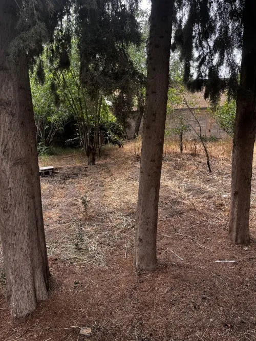 Vente Terrain Sétif Hammam guergour