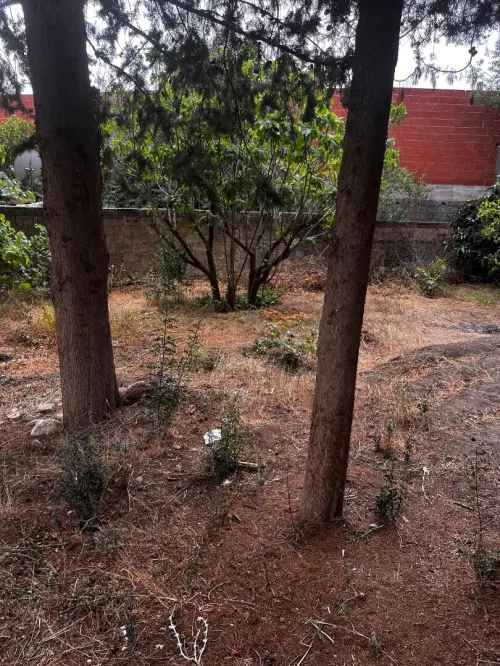 Vente Terrain Sétif Hammam guergour