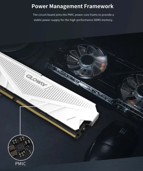Gloway RAM DDR5 8X2 GB 4800 MHZ CL40