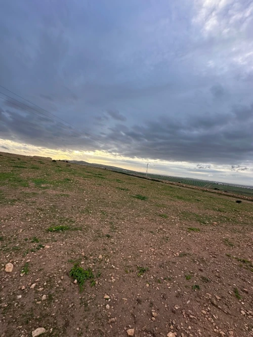 Vente Terrain Agricole Oran Boufatis