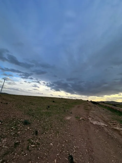 Vente Terrain Agricole Oran Boufatis
