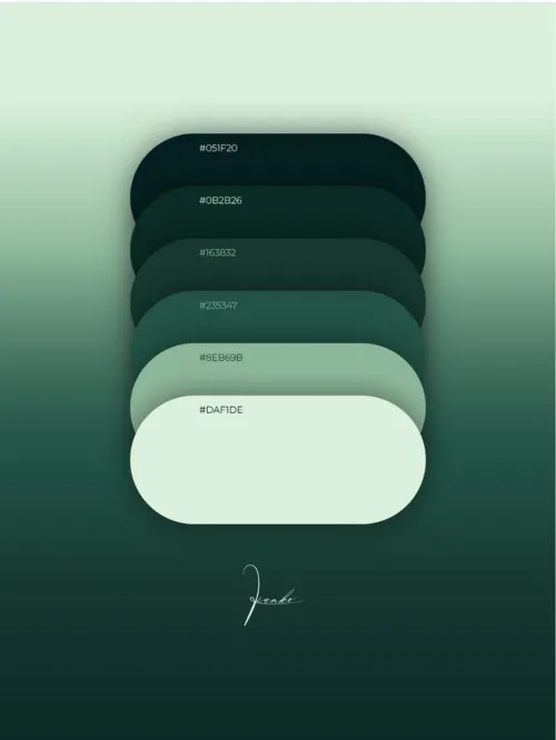 INFOGRAPHIE (CONCEPTION)