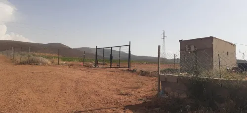 Vente Terrain Agricole Tlemcen Beni semiel