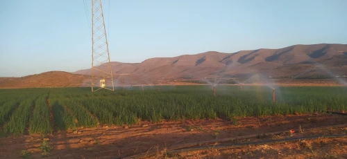 Vente Terrain Agricole Tlemcen Beni semiel