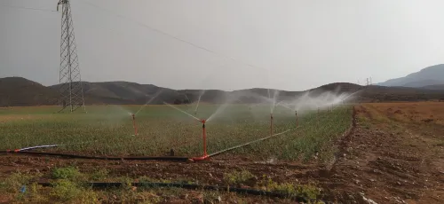 Vente Terrain Agricole Tlemcen Beni semiel