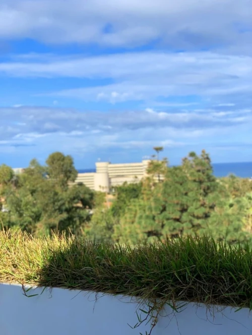 Location vacances Appartement Niveau de villa F4 Alger Staoueli