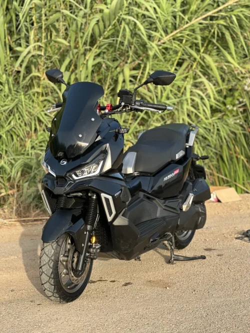 Sym Haski adv 2024