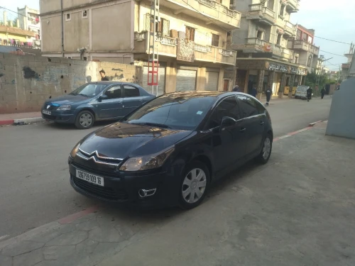 Citroen C4 2009 Vitamine