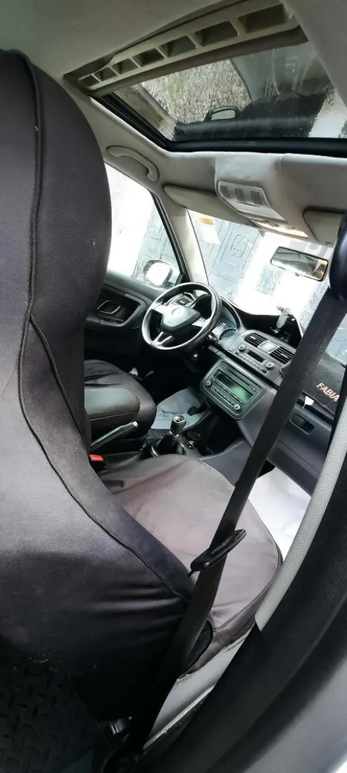 Skoda Fabia 2015 Visage