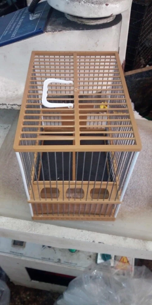 Vend des cages pour oiseaux Détail est grand.