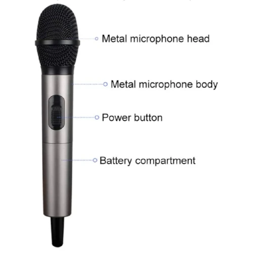 Microphone a main sans fil Acemic DV20H