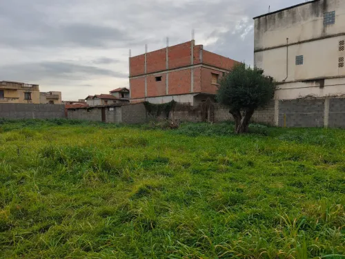 Vente Terrain Boumerdès Ouled hedadj