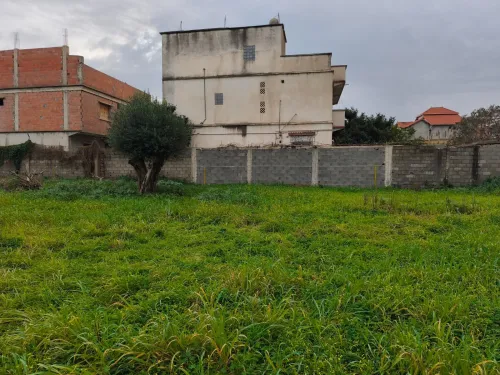 Vente Terrain Boumerdès Ouled hedadj