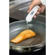THERMOMETRE PORTABLE TESTO