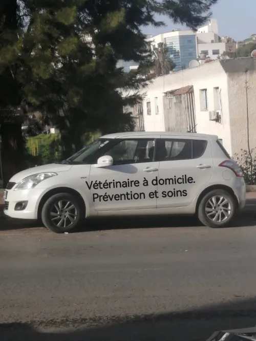 Vétérinaire à domicile